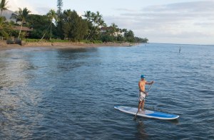 Top SUP Questions
